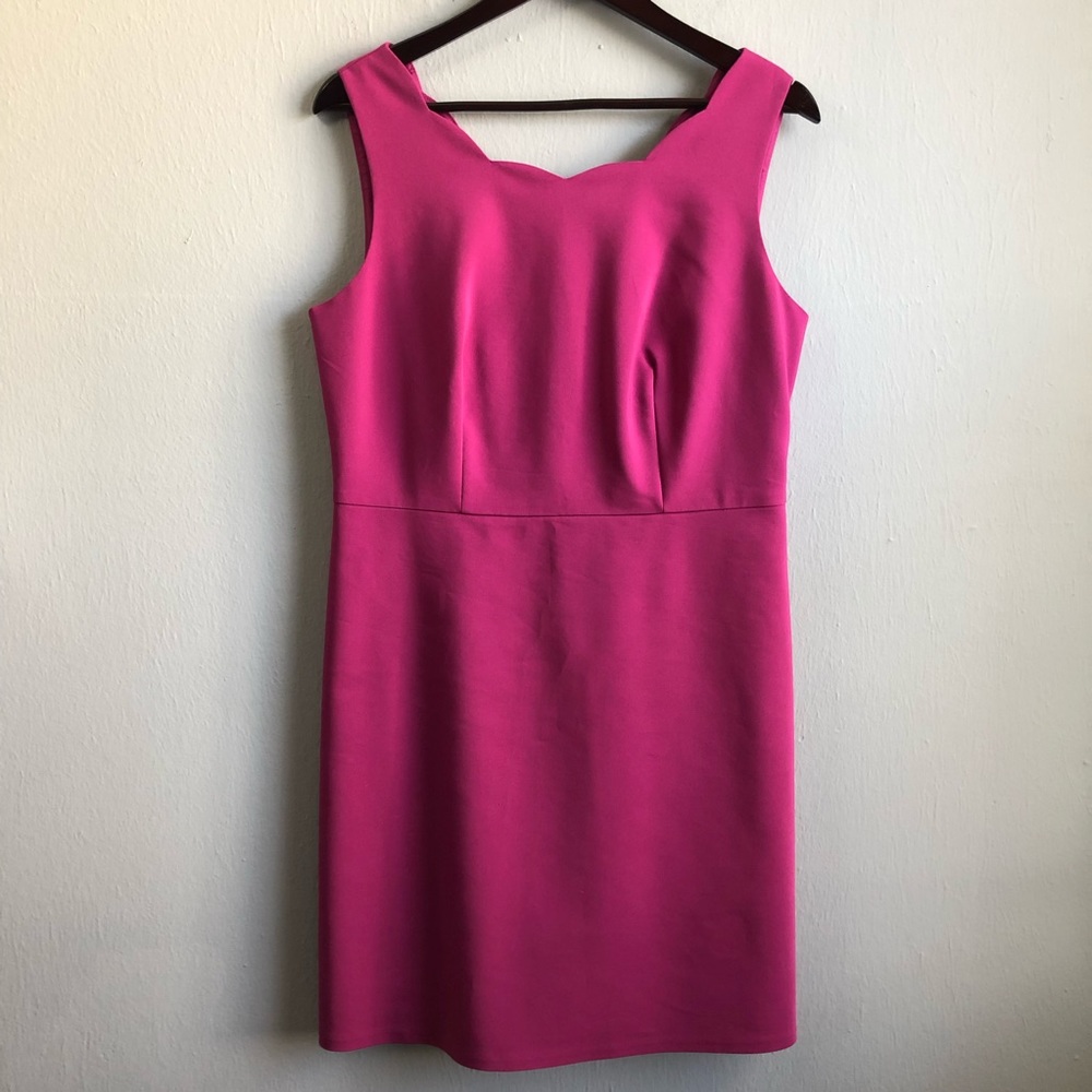 The Limited petite scalloped sheath dress 12p.